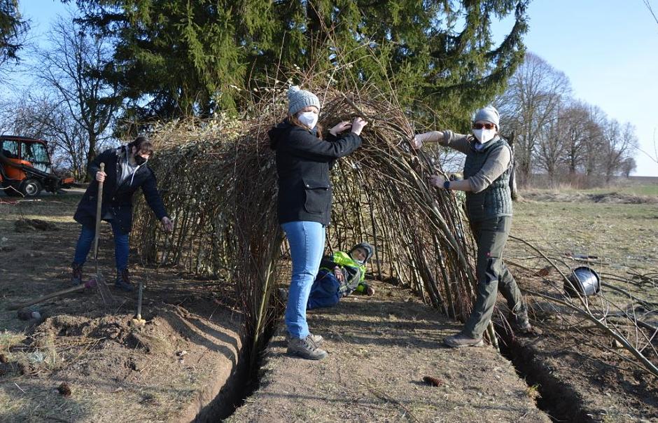 Wurmtratzer bauen einen Weidentunnel