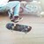 Skateboarder