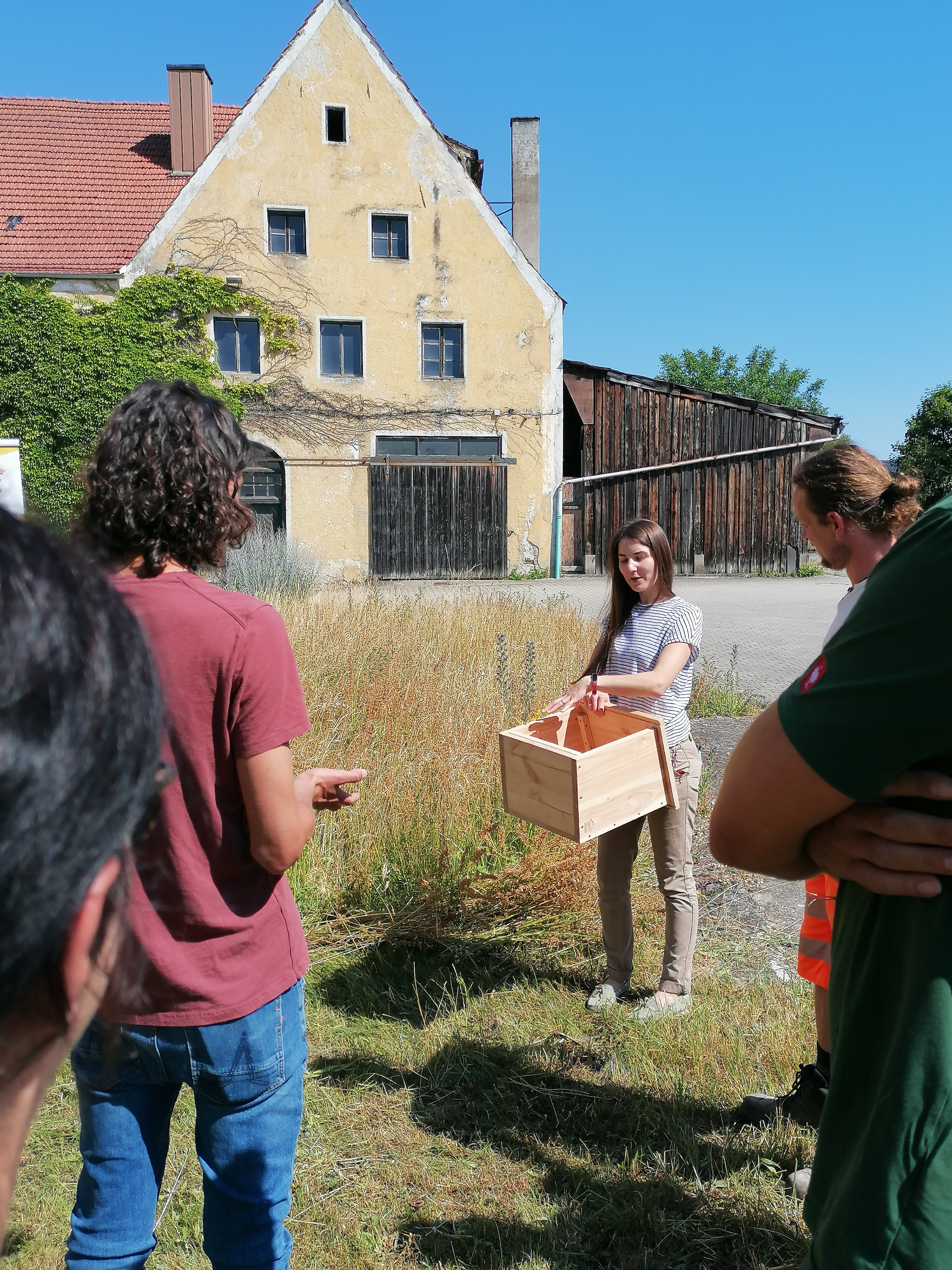 Auszeichnung Insektenfreundliche Kommune 9