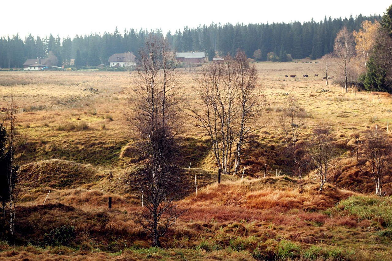 Geschichte und Geschichten aus dem Böhmerwald