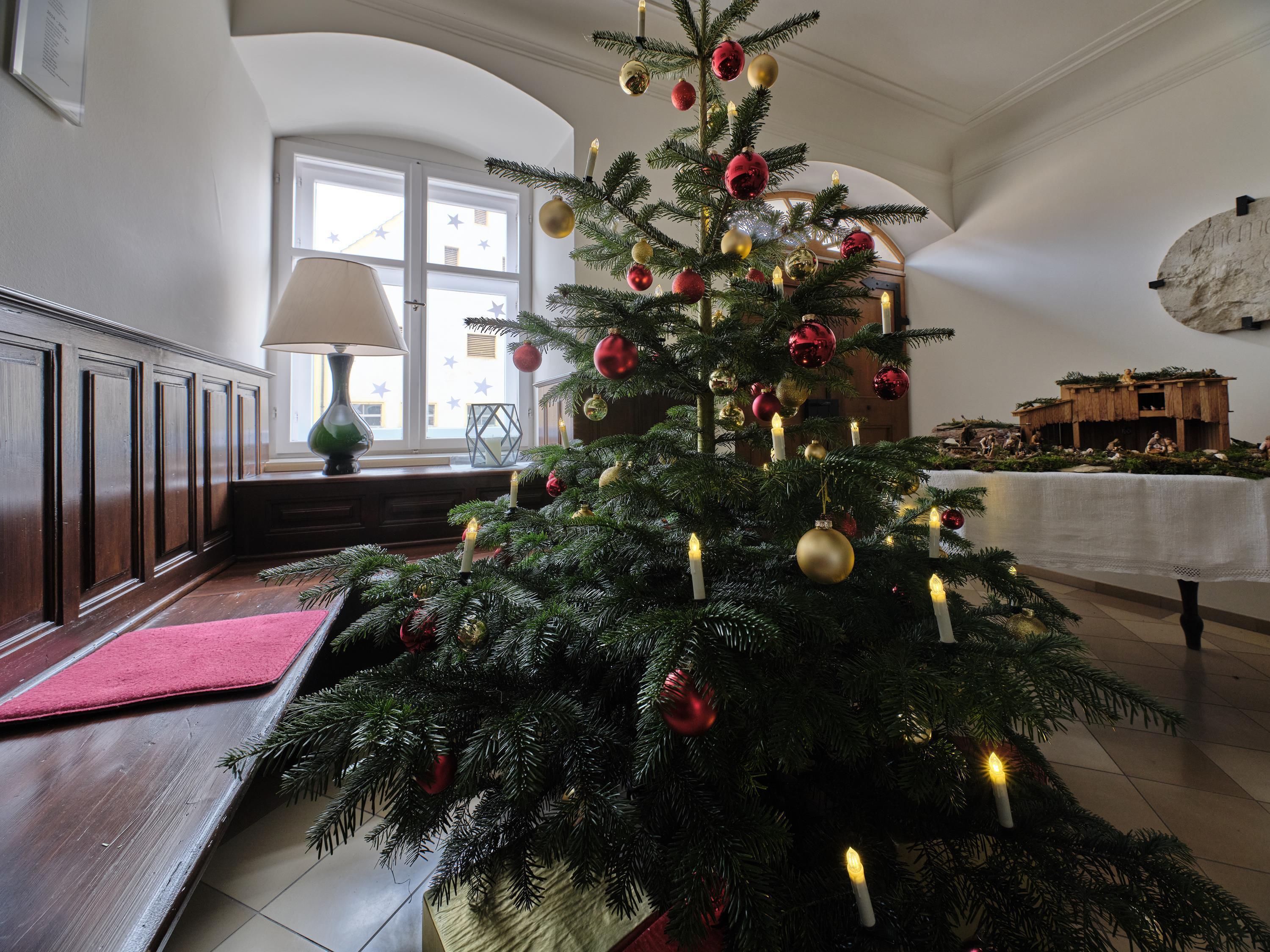 Leider haben wir keinen Alternativtext zu diesem Bild, aber wir arbeiten daran.